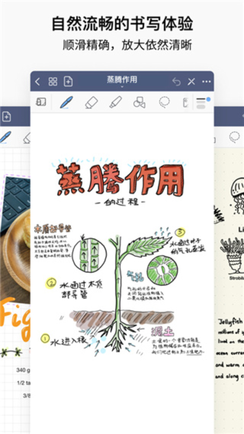 PCS（Pcs.是什么意思）